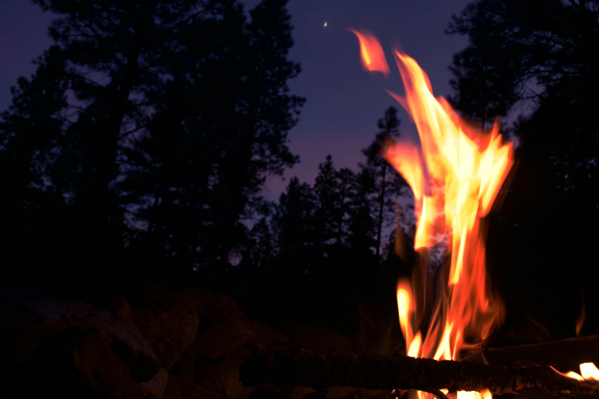 A campfire in the forest